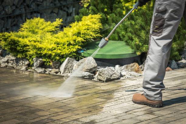 Best Animal Enclosure Cleaning  in West Columbia, TX