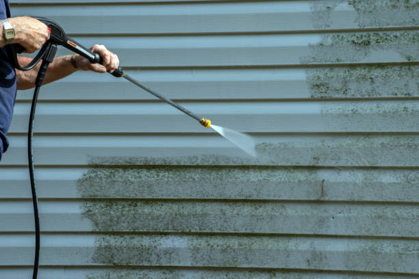 Best House Exterior Washing  in West Columbia, TX